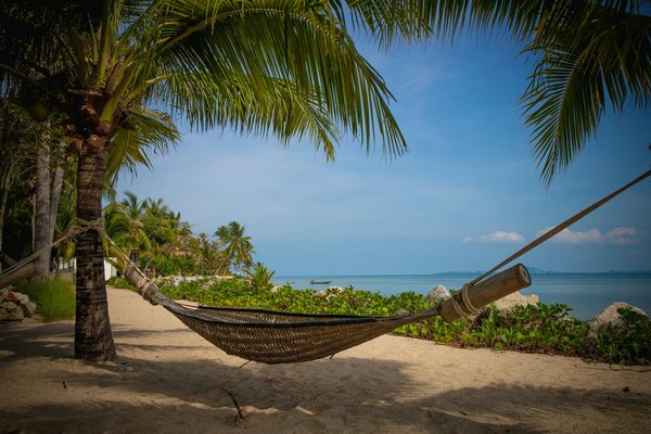 Voyages en montgolfière : destinations idéales et conseils pour une expérience mémorable