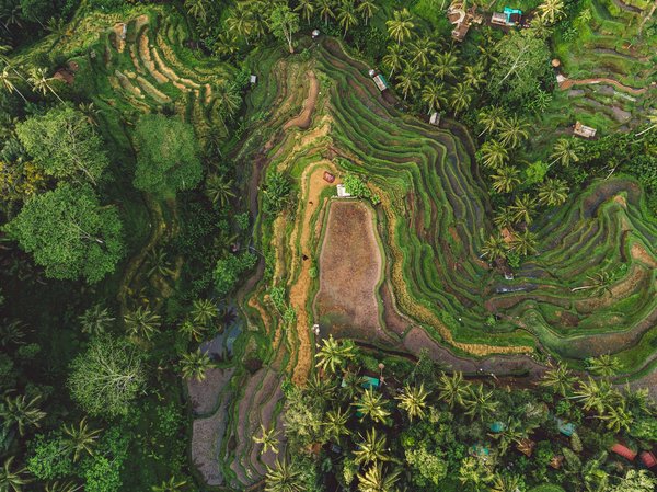 Quelles sont les meilleures locations à Bali pour un séjour de méditation avec des maîtres yogis?