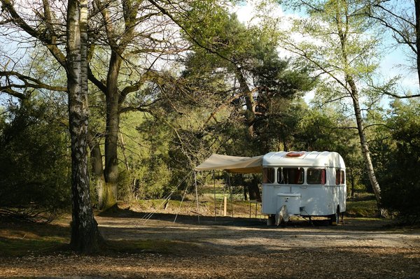 Camping à deux pas du zoo de Beauval